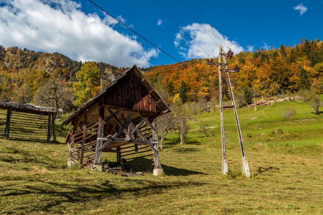 Holiday House Pokrovec - Bohinj Extérieur photo